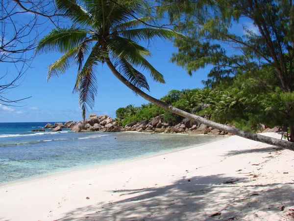 Quiet tropical beach — Stock Photo, Image