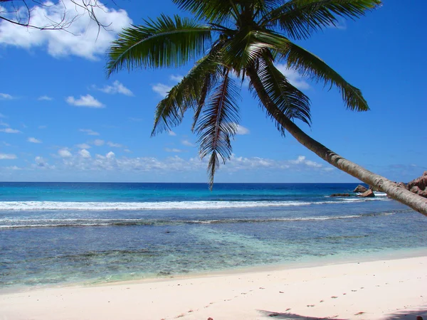 Спокійний тропічний пляж — стокове фото