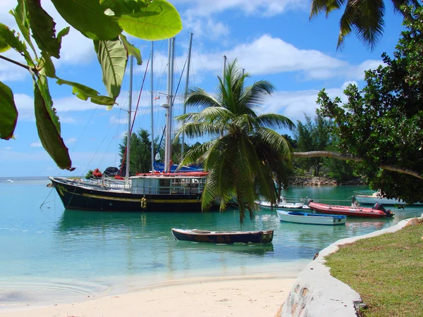 Tropische jachthaven — Stockfoto