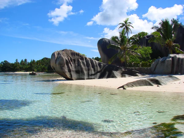 Типовий тропічний пляж — стокове фото