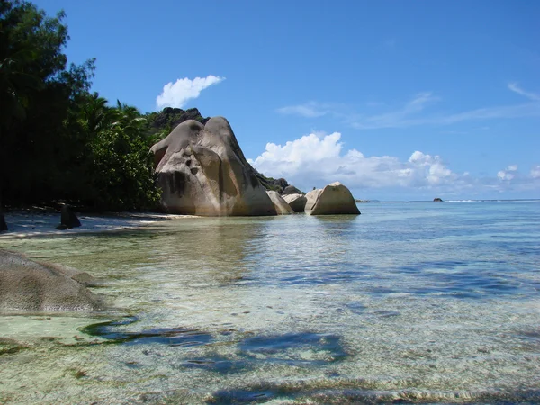 Typische tropisch strand — Stockfoto