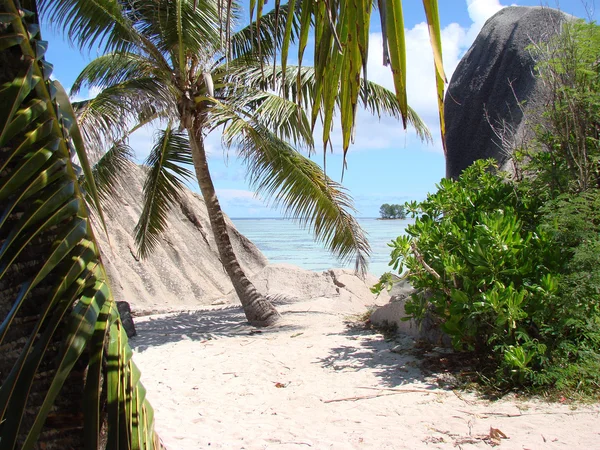 Playa tropical típica —  Fotos de Stock