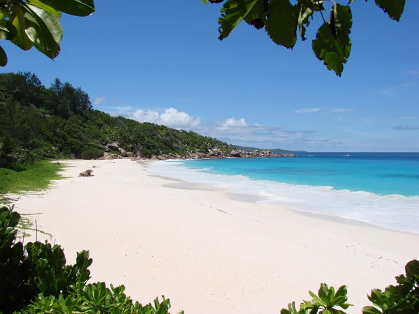 Spiaggia tropicale tipica — Foto Stock