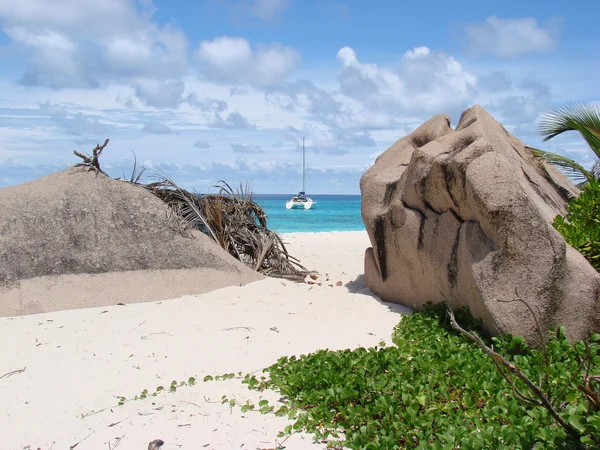 Typische tropisch strand — Stockfoto
