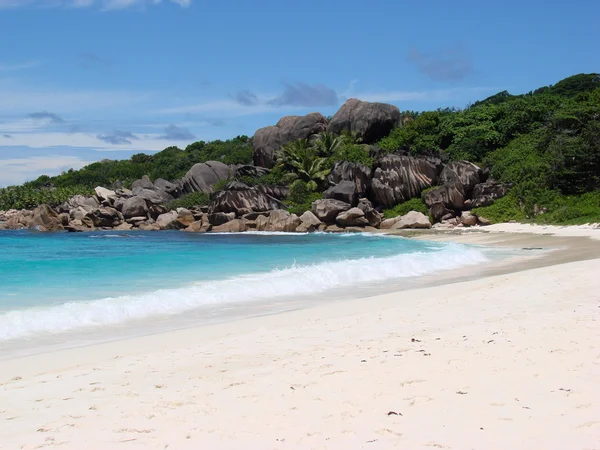 Playa tropical típica —  Fotos de Stock
