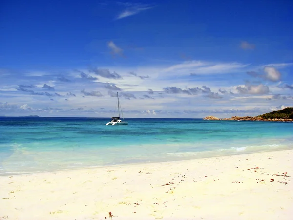 Playa tropical típica — Foto de Stock
