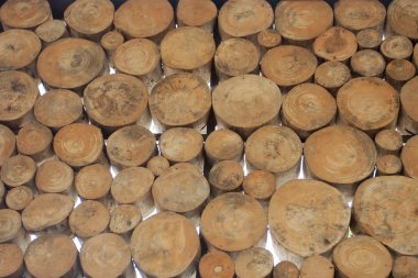 yuvarlak odun