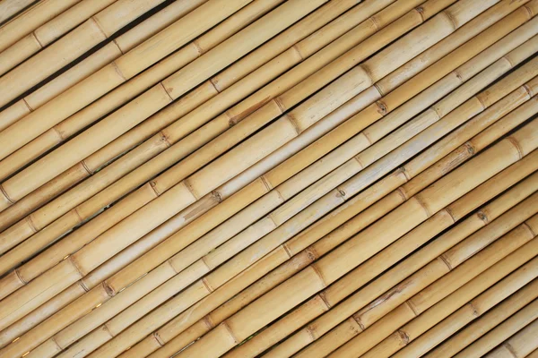 Ściany bambusa — Zdjęcie stockowe