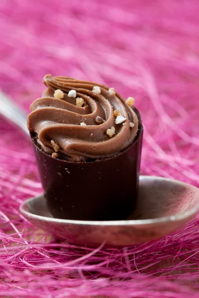 Choklad pralin — Stockfoto