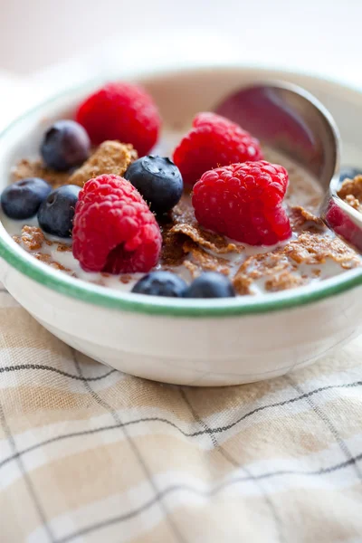 Breakfast cereal with berries — Stock Photo, Image