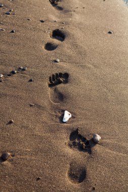 Footprints in sand clipart