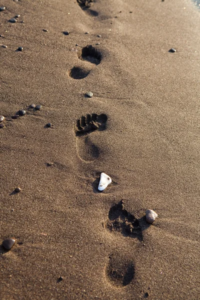 stock image Footprints in sand