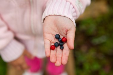 Child holding berries clipart