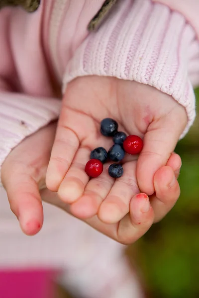 Child holding berries — Stock Photo, Image