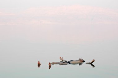 Man floating in a glassy water of dead sea clipart