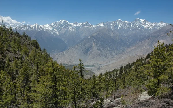 Himalaya bergskedja. Annapurna-regionen. Nepal. Stockbild