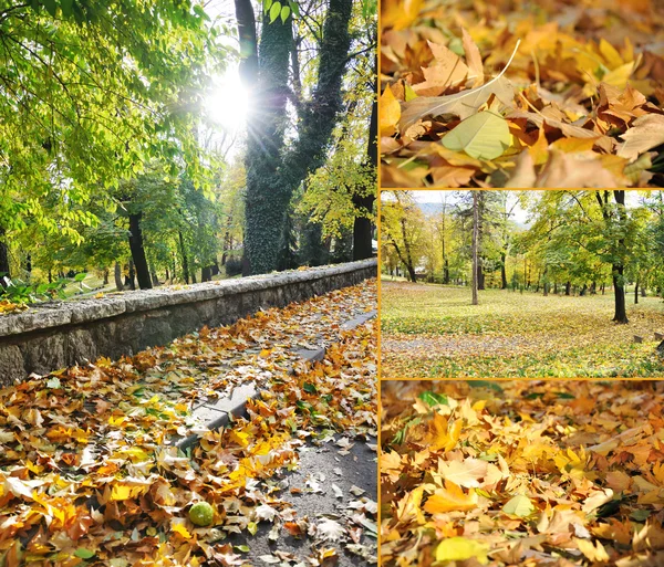 Magic autumn scene in Bosnia