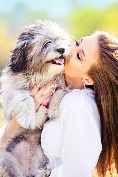 Kiss the dog — Stock Photo, Image