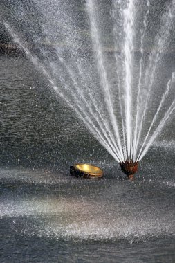 springbrunnen içinde einem park im fr