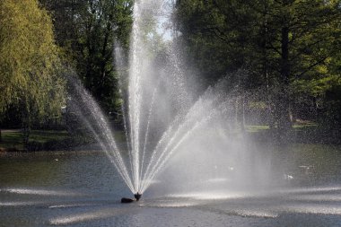 springbrunnen içinde einem park im fr