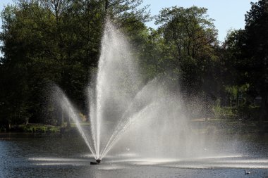 springbrunnen içinde einem park im fr