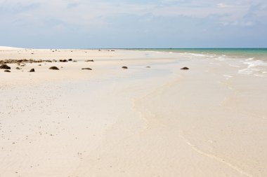 White sandy beach clipart