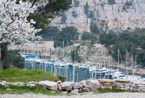 Stock image Yacht boats in cassis