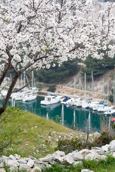 stock image Scenery of calanques near cassis