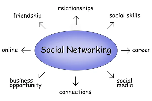 sosyal ağ