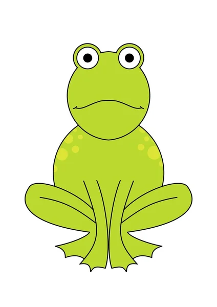 Isolated frog — Stock Photo, Image