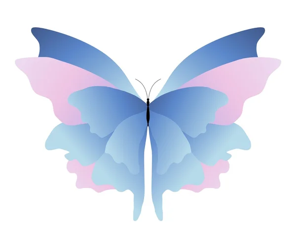 Růžový modrý motýl — Stock fotografie