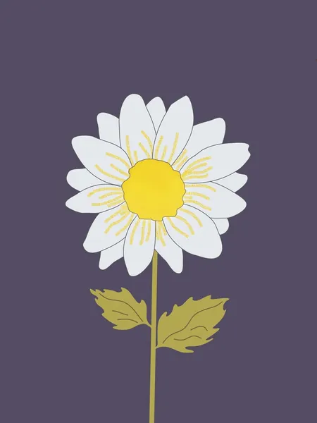 Иллюстрированный цветок — стоковое фото