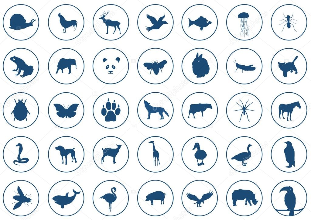 Icons animals
