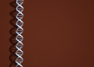 DNA krom