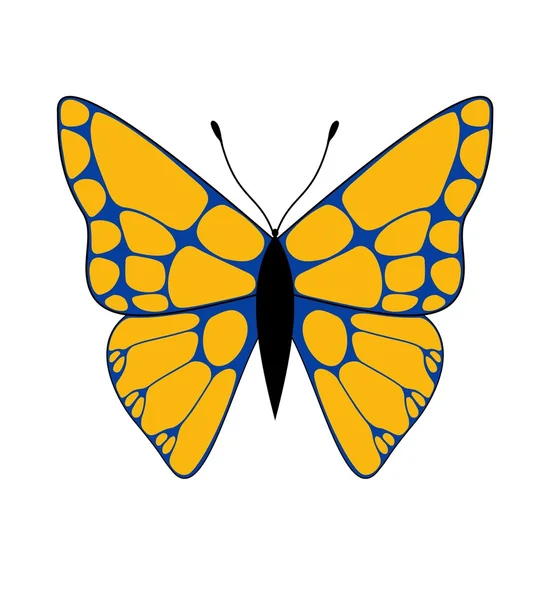 Oranje & blauwe vlinder — Stockfoto