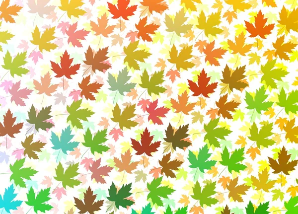 Colourful Maple leaves — Stock Photo, Image