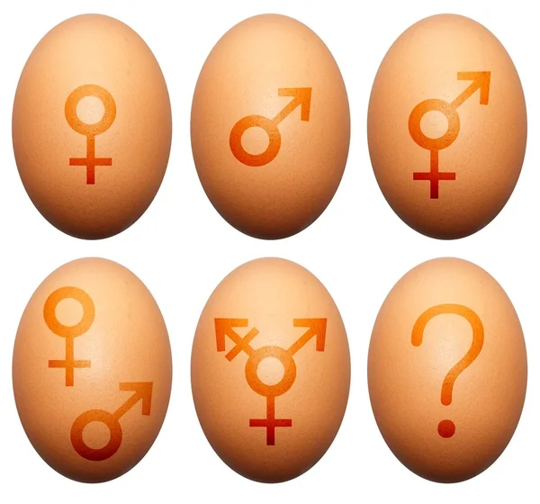 Egg gender — Stock Photo, Image