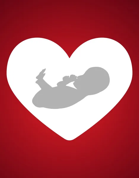胎儿心脏 — 图库照片