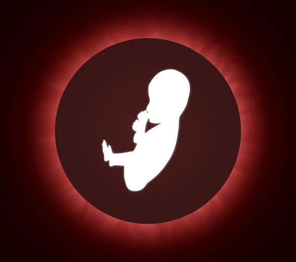 在子宫中的胎儿 — 图库照片