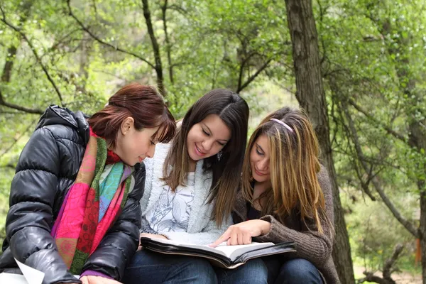 3 meisjes samen lezen Stok Resim
