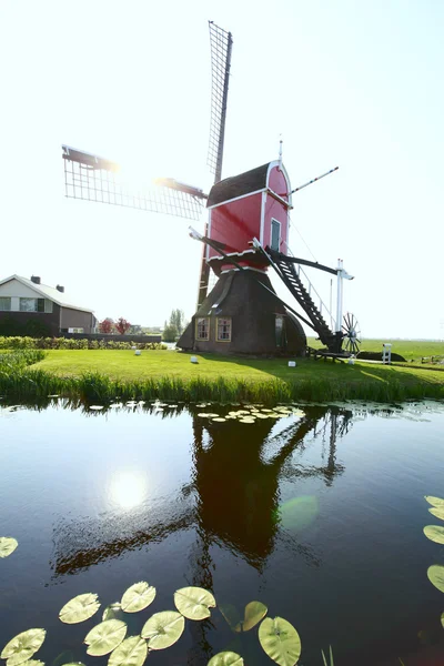 Hollanda yel değirmeni