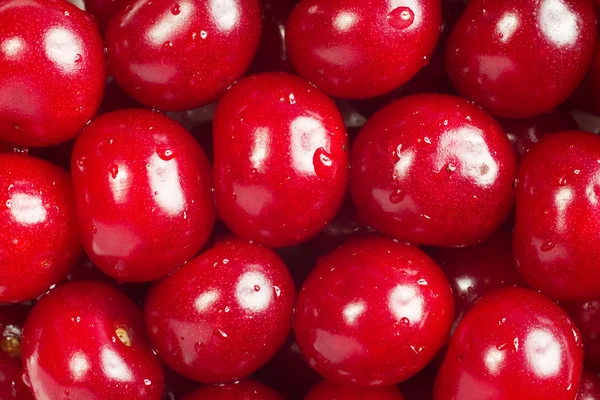 A lot of red cherries — Stock Photo, Image