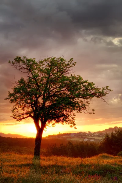 Sunset in Bulgaria Mountains — Stock Photo, Image