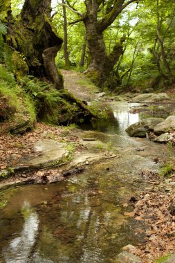 thassos Island, kastro Köyü yakınındaki apostolus şelale