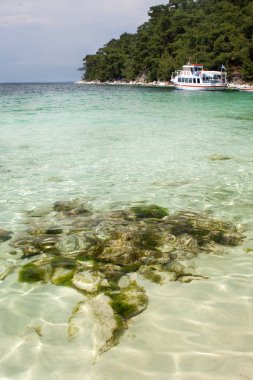 Wild beach near Thassos clipart