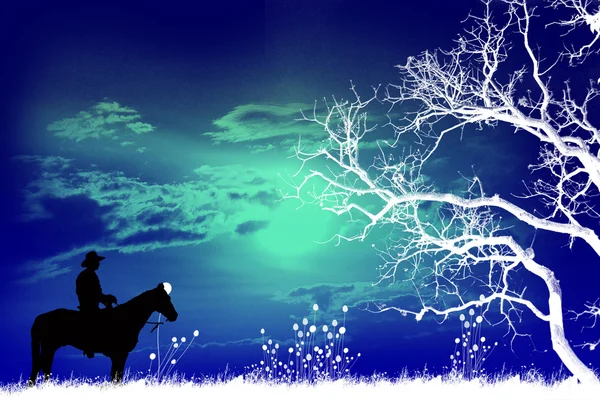Cabeça de cavalo — Fotografia de Stock