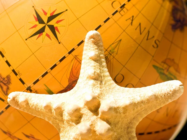 Starfish and the globe — Stock Photo, Image