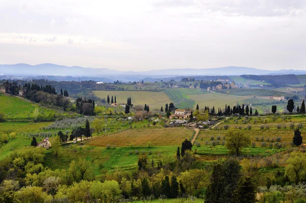 Paisaje en Toscana — Foto de Stock