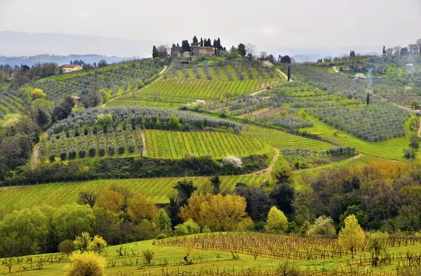 Typical Tuscany landscape — Stock Photo, Image