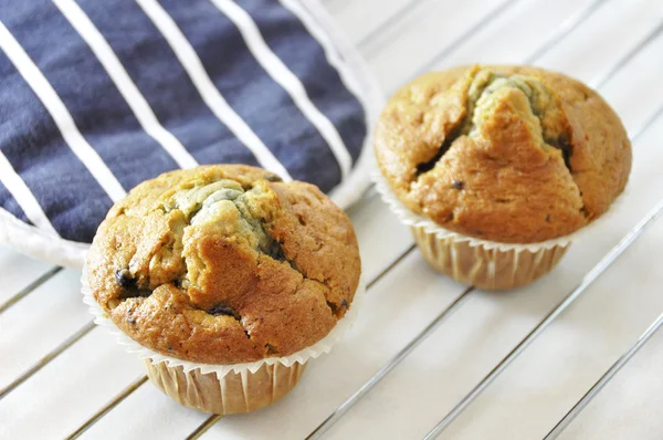 Two blueberry muffins — Stock Photo, Image